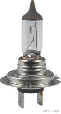 HERTH+BUSS ELPARTS Лампа накаливания, противотуманная фара 89901295
